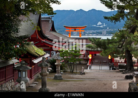 Garten-Itsukushima-Schrein auf der Insel Miyajima. Im Hintergrund ist das ikonische Riesen Torii-Tor errichtet in der Mitte Stockfoto