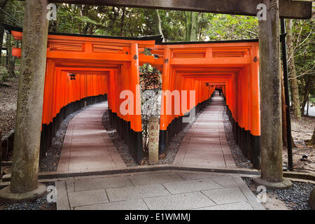 Gewidmet Inari den Gott Reis Sake Fushimi Inari Schrein ist berühmt für seinen Tausenden Vemilion Torii Toren, Straddle ein Stockfoto