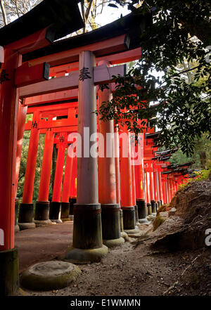 Gewidmet Inari den Gott Reis Sake Fushimi Inari Schrein ist berühmt für seinen Tausenden Vemilion Torii Toren, Straddle ein Stockfoto