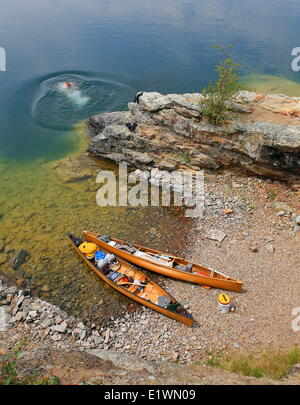 ein bei schwimmt auf Rattlesnake Island, Okanagan Lake, British Columbia, Darrel Giesbrecht Stockfoto