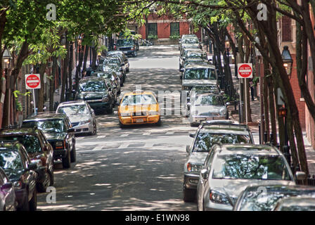 Gelbes Taxi Cab auf einer schattigen Bäumen bepflanzten Straße in Boston, MA Stockfoto