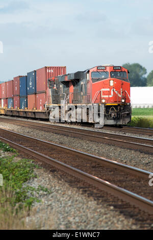 Eine CN (Canadian National Railway) Containerzug Richtung Osten durch Matsqui, BC, Kanada. Stockfoto