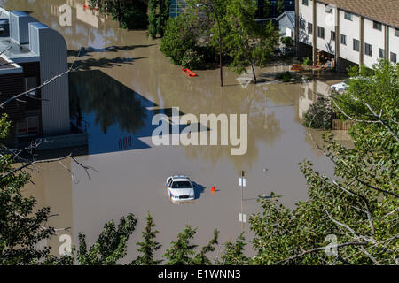 Calgary-Juni 2013-Flut. Überflutet Wohnung Hinterhaus mit überschwemmten Autos direkt an der Memorial Drive. Calgary Alberta Kanada Stockfoto