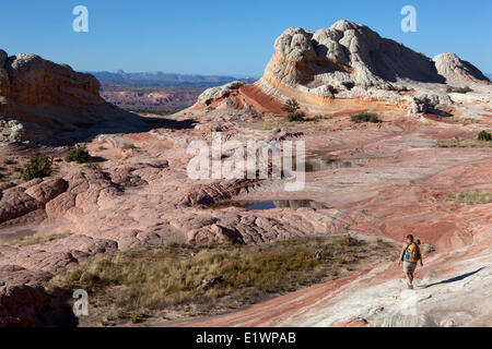 Wanderer und ein Tarn bei White Pocket, Paria Canyon - Vermillion Cliffs Wilderness, Arizona, Vereinigte Staaten Stockfoto