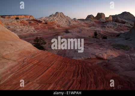 Sandstein-Formationen bei Sonnenuntergang am White Pocket, Paria Canyon - Vermillion Cliffs Wilderness, Arizona, Vereinigte Staaten Stockfoto