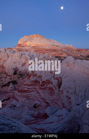 White Pocket bei Sonnenaufgang, Paria Canyon - Vermillion Cliffs Wilderness, Arizona, Vereinigte Staaten Stockfoto