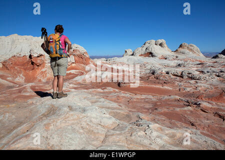 Wanderer am weißen Tasche, Paria Canyon - Vermillion Cliffs Wilderness, Arizona, Vereinigte Staaten Stockfoto