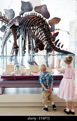 Mädchen und jungen Blick auf Dinosaurier-Fossilien im Royal Ontario Museum, Toronto, Ontario, Kanada Stockfoto