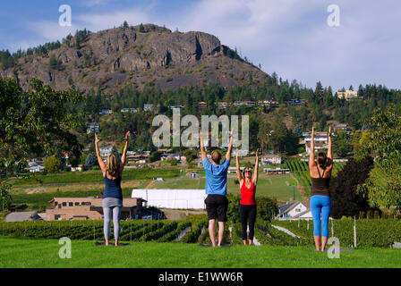 Yoga im Weinberg, Mt Boucherie Estate Winery, West Kelowna, British Columbia, Kanada. MR 017, MR 018, MR 019, MR 020. Stockfoto