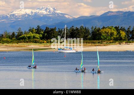 Drei kleine Katamaran Segelboote Segeln rund um Gans spucken in der Nähe von Comox, BC.  Mt. Arrowsmith auf Vancouver Island befindet sich in der staatlich Stockfoto