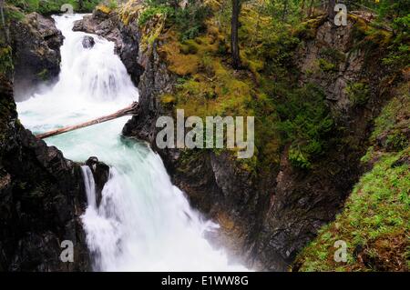 Die obere fällt bei Little Qualicum Falls in Little Qualicum Falls Provincial Park zwischen Parksville Port Alberni auf Vancouver Stockfoto