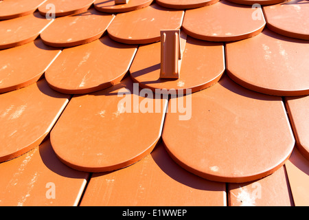 Detail der roten Dach mit Schneefanggitter Stockfoto