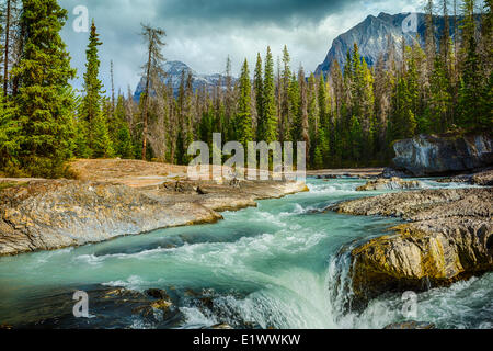 Die Natural Bridge, Kicking Horse River, Yoho Nationalpark, Britisch-Kolumbien, Kanada Stockfoto