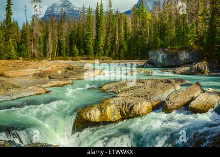 Die Natural Bridge, Kicking Horse River, Yoho Nationalpark, Britisch-Kolumbien, Kanada Stockfoto