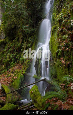 Wasserfall bei Goldstream Provincial Park - Victoria BC Stockfoto