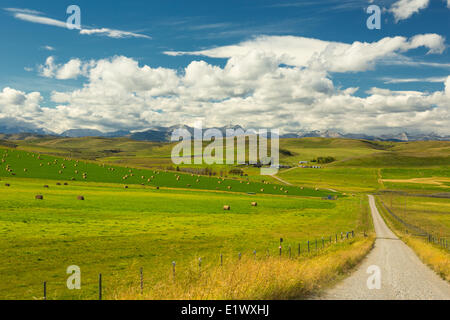 Ausläufer, Longview, Alberta, Kanada Stockfoto