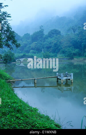 Mac-See, Nationalpark Cuc Phuong, Vietnam Stockfoto