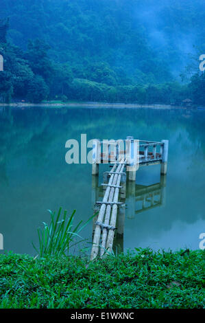 Mac-See, Nationalpark Cuc Phuong, Vietnam Stockfoto