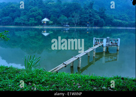 Mac-See, Nationalpark Cuc Phuong, Vietnam Stockfoto