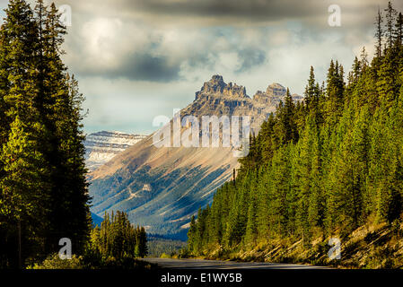 Dolomit-Gipfel, Icefield Parkway, Banff Nationalpark, Alberta, Kanada Stockfoto