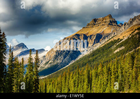 Dolomit-Gipfel, Icefield Parkway, Banff Nationalpark, Alberta, Kanada Stockfoto