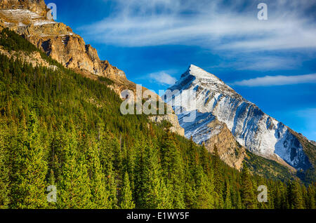 Montieren Sie Andromache, Icefield Parkway, Banff Nationalpark, Alberta, Canada1 Stockfoto