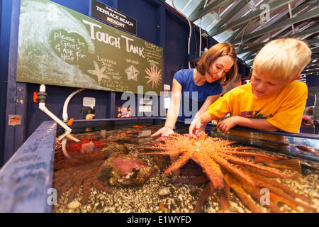 Ein kleiner Junge ein Freiwilliger im Ucluelet Aquarium erkunden einen Touch Tank es die Bewohner auch ein Sonnenblumen-Stern.  Ucluelet Stockfoto