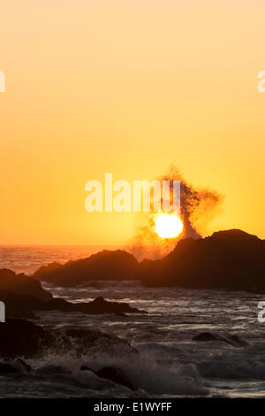 Eine Welle bricht über eine felsige Landzunge auf der pacific Trail in der Nähe von Ucluelet.  Ucluelet, Vancouver Island, British Columbia, Kanada Stockfoto