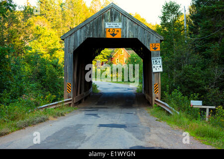 Urney gedeckte Brücke, Trout Creek, New Brunswick, Kanada Stockfoto