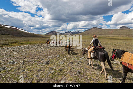 Kanada, British Columbia, Itcha Ilgachuz Provincial Park, Itcha Mountains, Itcha Vulkan, Ausritt, Pack Zug, Stockfoto