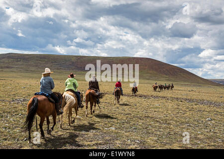 Kanada, British Columbia, Itcha Ilgachuz Provincial Park, Itcha Mountains, Itcha Vulkan, Ausritt, Pack Zug, Stockfoto