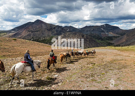 Kanada, British Columbia, Itcha Ilgachuz Provincial Park, Itcha Mountains, Itcha Vulkan, Ausritt, Pack Zug, Stockfoto