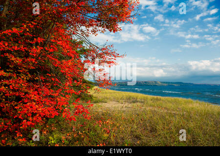 Pancake Provincial Park, Lake Superior, Ontario, Kanada Stockfoto