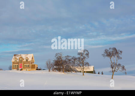 Bauernhaus im Winter, Cumberland, Prince Edward Island, Canada Stockfoto