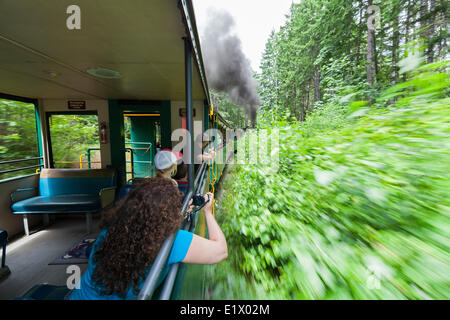 Passagiere an Bord der Alberni Pacific Dampfeisenbahn nehmen Sie Bilder auf dem Weg nach McLean Mill.  Port ALberni, Vancouver Island, Bri Stockfoto