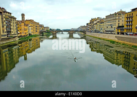 Rudern am Fluss Arno in Florenz Stockfoto