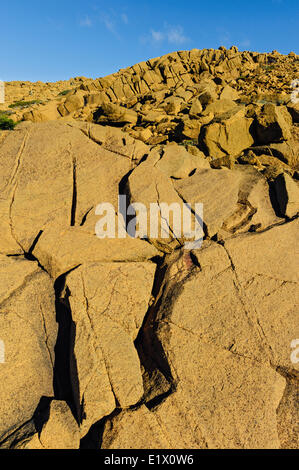 TABLELANDS. Peridotit Rock ist selten auf der Erde Oberfläche Grund für die Bezeichnung Weltkulturerbe der UNESCO. Gros Morne Stockfoto