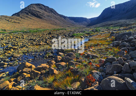 TABLELANDS Peridotit Rock ist selten auf der Erde Oberfläche Grund für die Bezeichnung Weltkulturerbe der UNESCO. Gros Morne Stockfoto