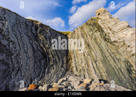 Schiefer Kalksteinfelsen am Green Point site global Stratotype für the Cambrian auf die richtige Ordovizium auf der linken Gros Stockfoto