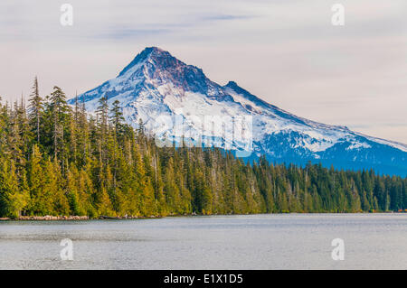Trillium Lake ist ein See liegt 7,5 Meilen (12,1 km) südsüdwestlicher Mount Hood in den USA staatliche Oregon.View Mount Hood in Stockfoto