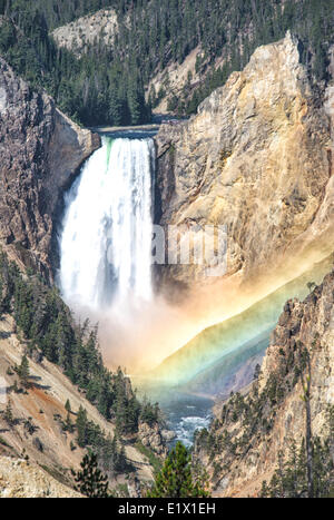 Niedriger fällt der Yellowstone Park in Yellowstone River, Yellowstone Park in Wyoming, USA Stockfoto