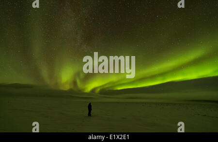 Eine Person, die im Schnee unter der Aurora Borealis oder das Nordlicht im nördlichen Yukon. Stockfoto