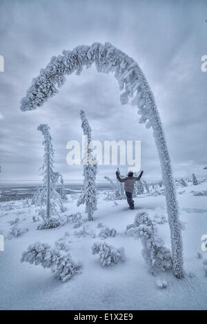 Person, die im Schnee Schnee Ladened Bäume, Old Crow, Yukon eingerahmt. Stockfoto