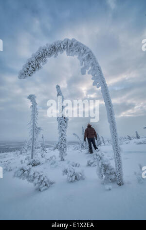 Person, die im Schnee Schnee Ladened Bäume, Old Crow, Yukon eingerahmt. Stockfoto