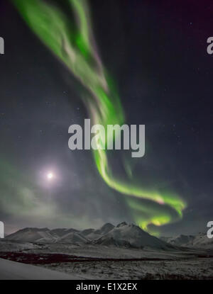 Nordlicht oder Aurora Borealis über dem Schnee bedeckt Tundra entlang der Dempster Highway, Yukon. Stockfoto