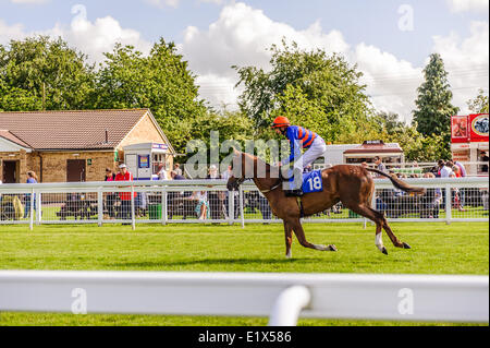 Salisbury Pferderennbahn ist eine flache Pferderennbahn im Vereinigten Königreich mit Vollblüter Pferderennen, 3 km südwestlich von Salisbury, Wiltshire, England. 15 Rennen pro Jahr gibt es zwischen Anfang Mai und Mitte Oktober. Stockfoto