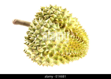 Reife Durian isoliert auf weißem Hintergrund. Stockfoto