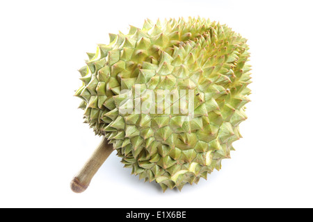 Reife Durian isoliert auf weißem Hintergrund. Stockfoto