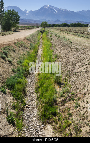 leere trocken Bewässerung Graben in Owens Valley in Kalifornien in der Nähe von Bischof Stockfoto