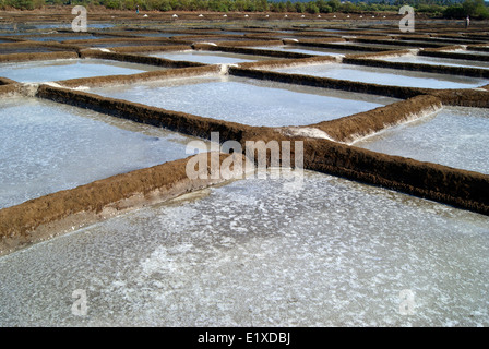 Salz Verdampfung Teiche in Indien Salinen oder Salinen Salz aus Salzwasser sammeln Stockfoto